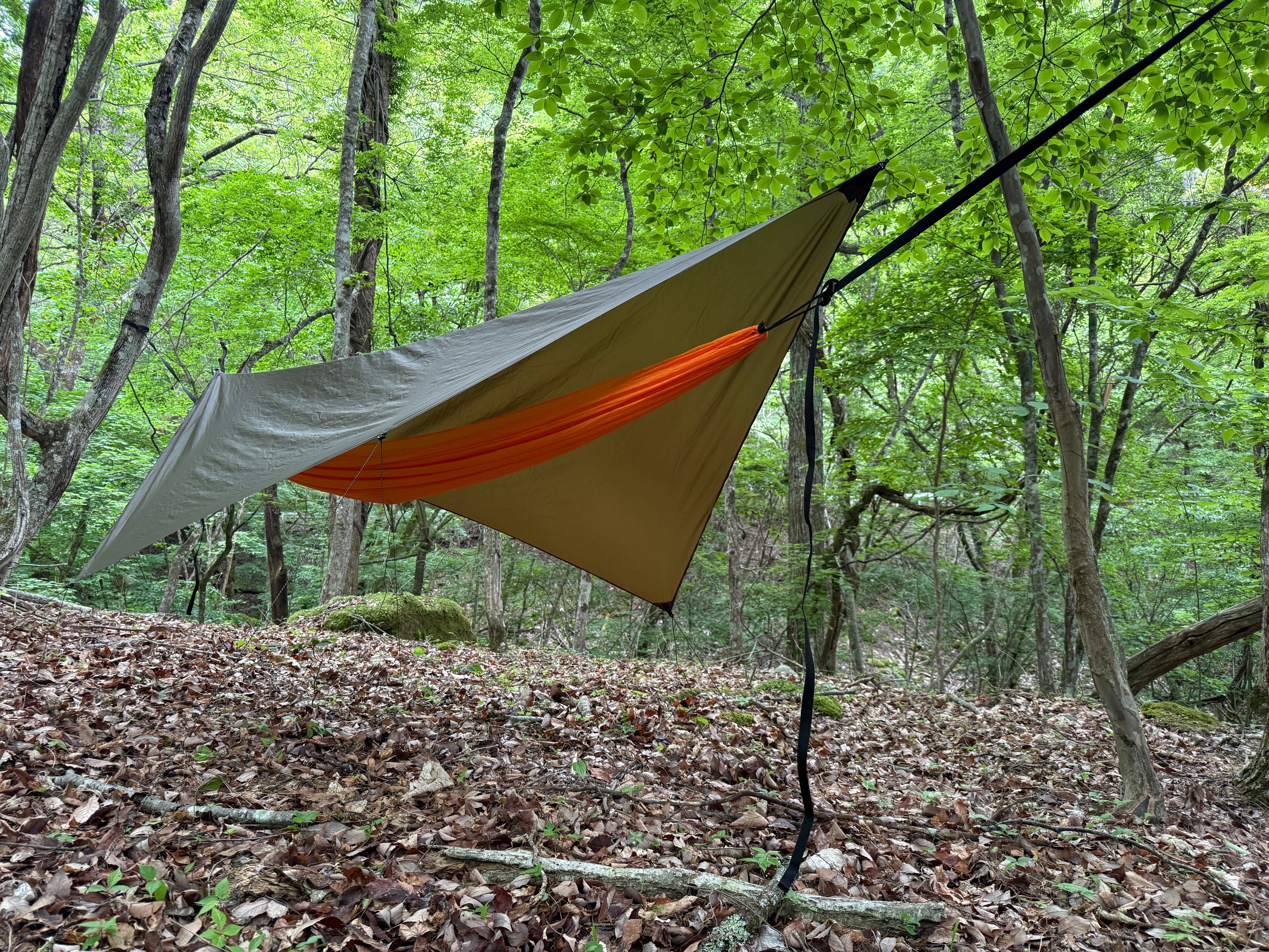 LELEKA HAMMOCK Tarp Single | SECTION-11