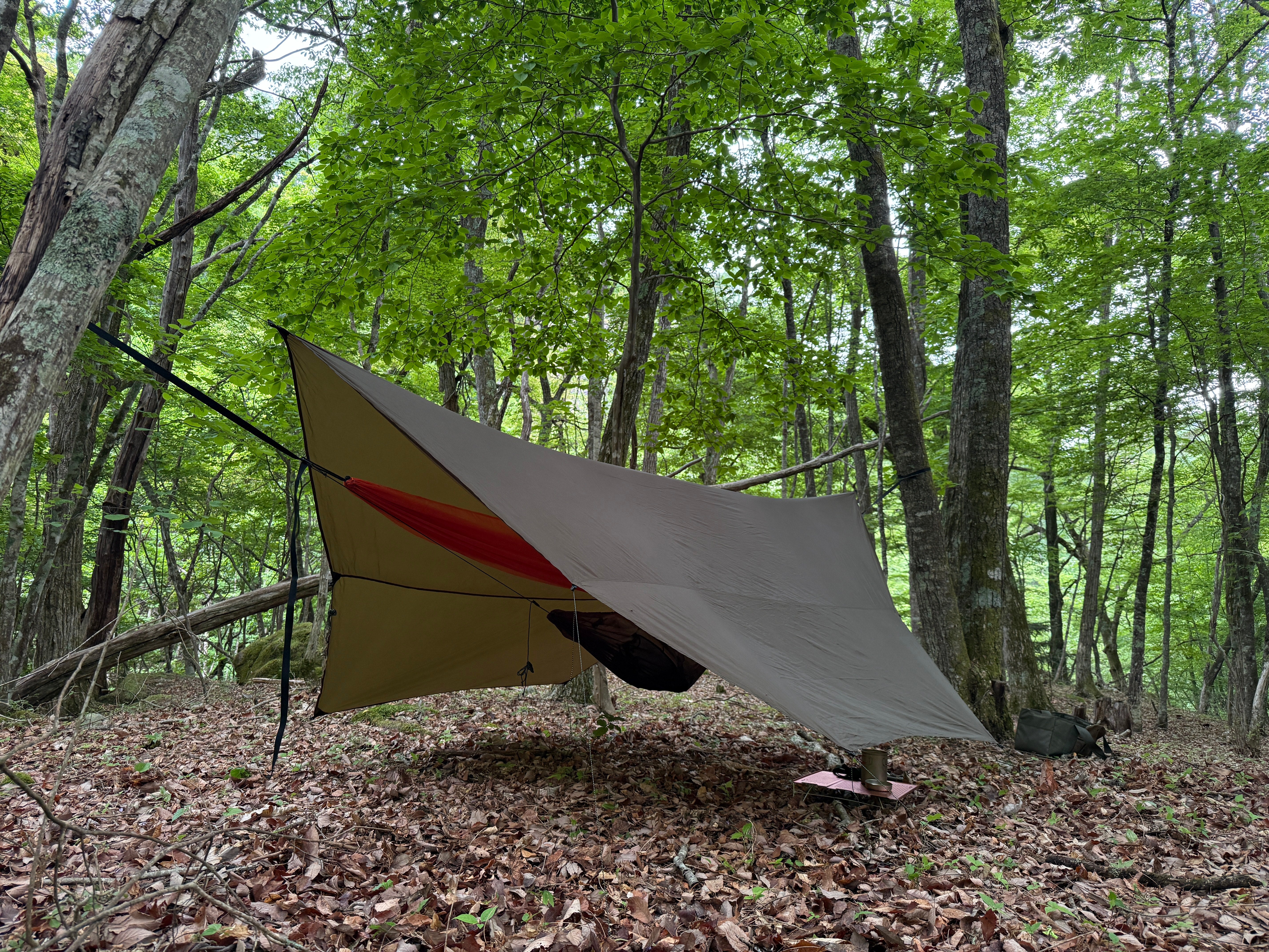 LELEKA HAMMOCK Tarp Hexagon | 海外アウトドア用品正規輸入代理店