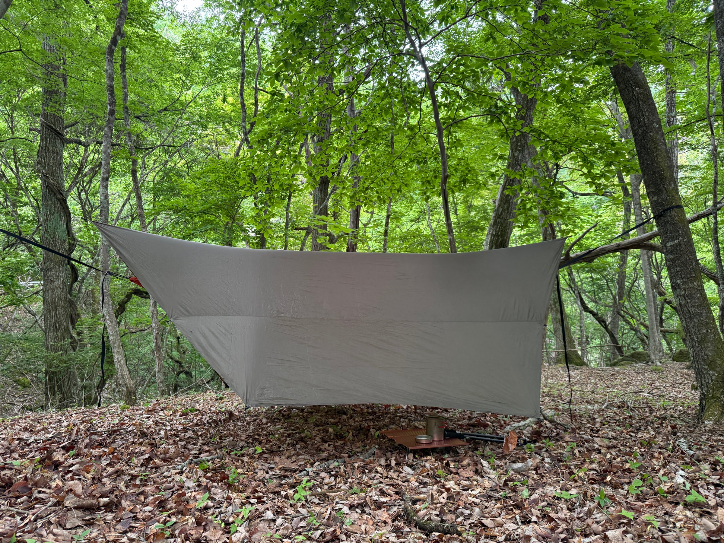 LELEKA HAMMOCK Tarp Hexagon | 海外アウトドア用品正規輸入代理店